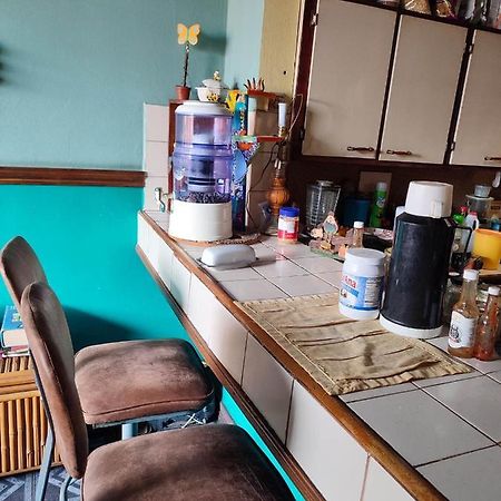 The Cozy Cactus House B&B Cartago Centro English Spoken Екстериор снимка