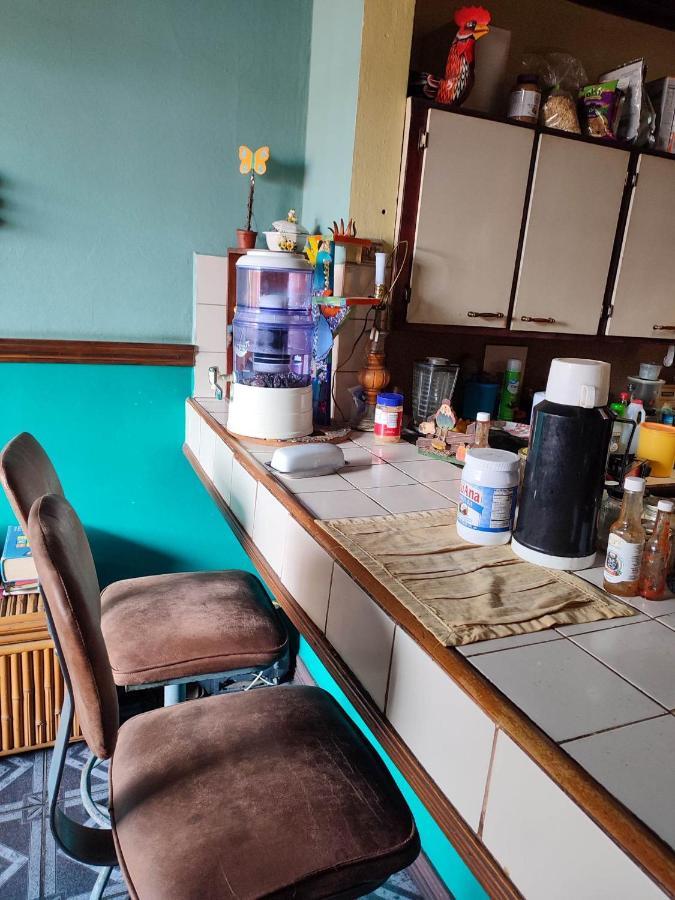 The Cozy Cactus House B&B Cartago Centro English Spoken Екстериор снимка